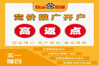 不同平台下的关键词竞价排名策略比较与案例分析